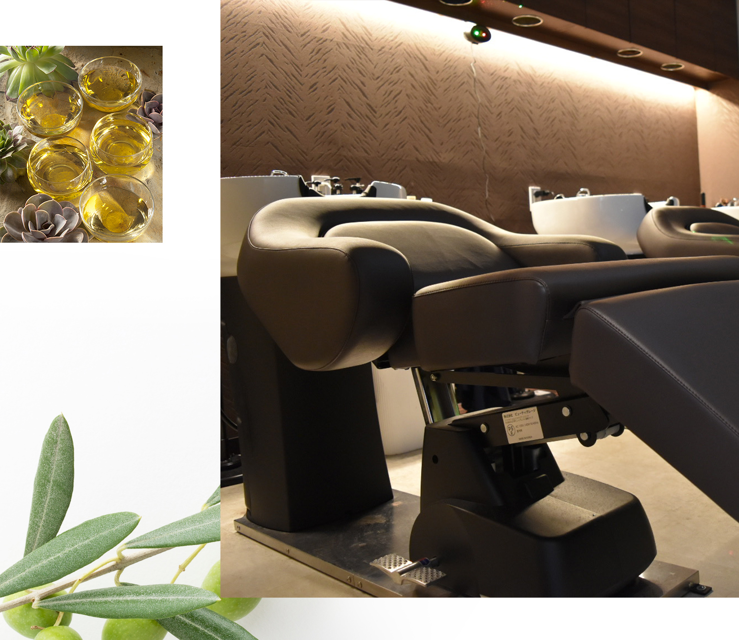 モアニレアヴォイスイメージ画像